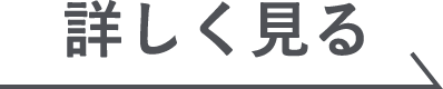 詳しく見る
